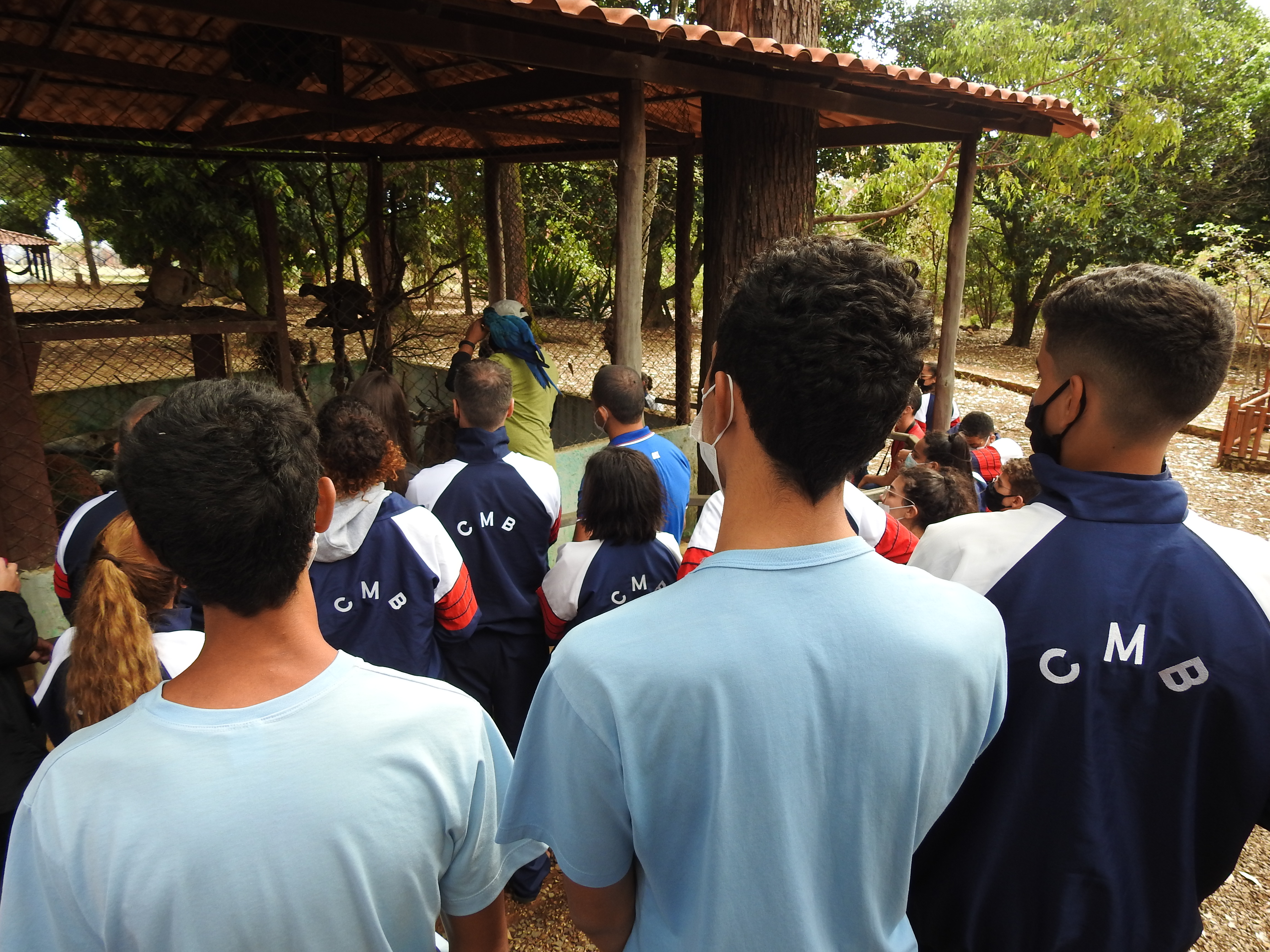 chapada 5 1